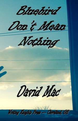 Bluebird Don't Mean Nothing de David Mac