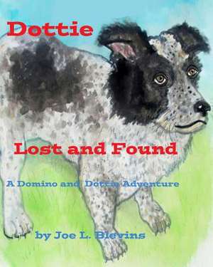 Dottie Lost and Found de MR Joe L. Blevins