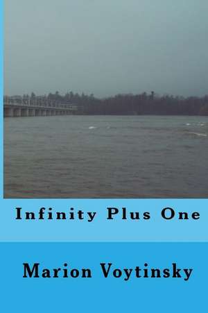 Infinity Plus One de Marion Voytinsky