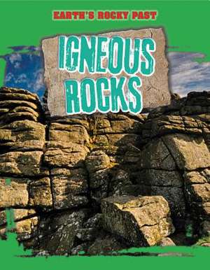 Igneous Rocks de Richard Spilsbury