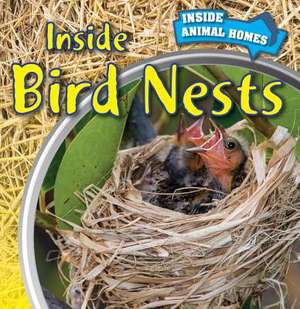 Inside Bird Nests de Ethan Danielson