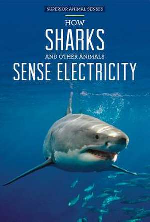 How Sharks and Other Animals Sense Electricity de Christine Honders