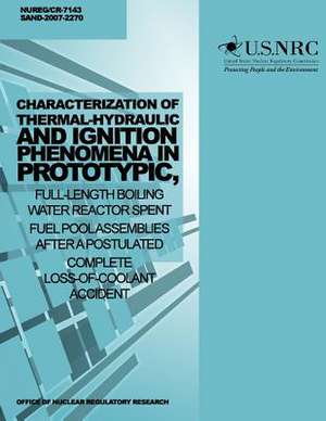 Characterization of Thermal-Hydraulic and Ignition Phenomena in Prototypic, Full-Length Boiling Water Reactor Spent Fuel Pool Assemblies After a Postu de U. S. Nuclear Regulatory Commission