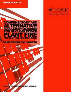 Compensatory and Alternative Regulatory Measures for Nuclear Power Plant Fire Protection (Carmen-Fire) de U. S. Nuclear Regulatory Commission