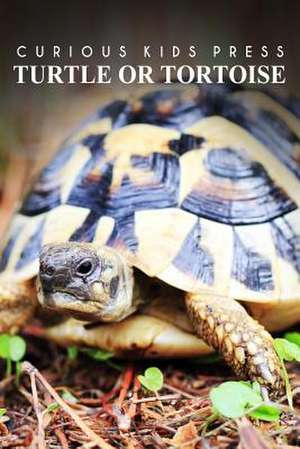 Turtle or Tortoise - Curious Kids Press de Curious Kids Press