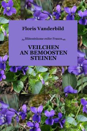 Veilchen an Bemoosten Steinen de Floris Vanderbild