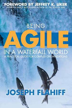 Being Agile in a Waterfall World de Joseph Flahiff