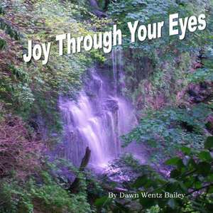 Joy Through Your Eyes de Dawn Wentz Bailey