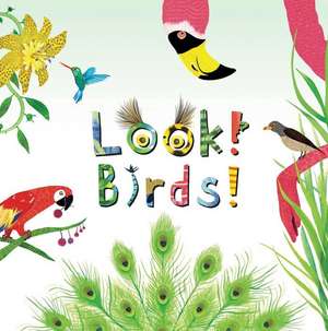 Look! Birds! de Stephanie Calmenson