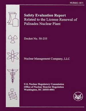 Safety Evaluation Report Related to the License Renewal of Palisades Nuclear Plant de U. S. Nuclear Regulatory Commission