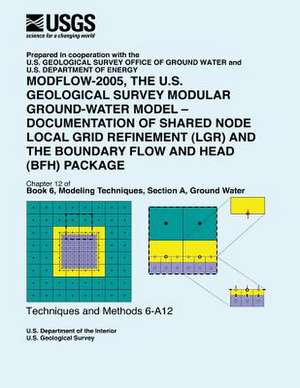 Modflow-2005, the U.S. Geological Survey Modular Ground-Water Model-Documentation of Shared Node Local Grid Refinement (Lgr) and the Boundary Flow and de Steffen W. Mehl