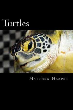 Turtles de Matthew Harper