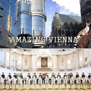 Amazing Vienna de Naira Matevosyan