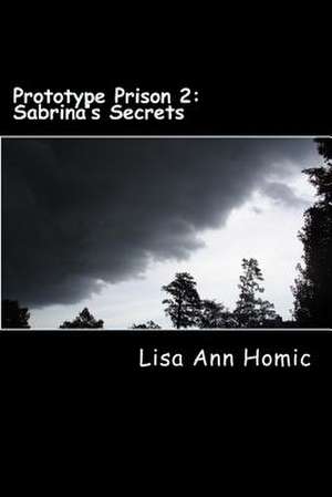 Prototype Prison 2 de Lisa Ann Homic