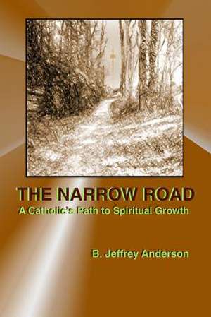 The Narrow Road de B. Jeffrey Anderson