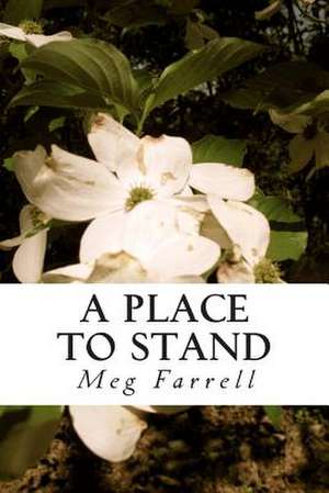 A Place to Stand de Meg Farrell