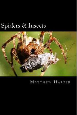 Spiders & Insects de Matthew Harper