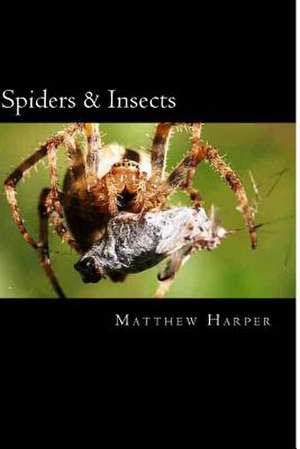 Spiders & Insects de Matthew Harper