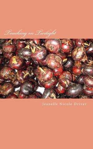 Touching on Twilight de Jeanelle Nicole Driver