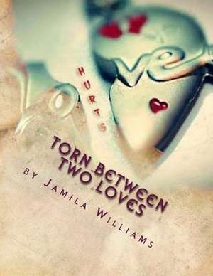 Torn Between Two Loves de Jamila Williams