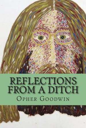 Reflections from a Ditch de Opher Goodwin