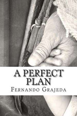 A Perfect Plan de Fernando Grajeda