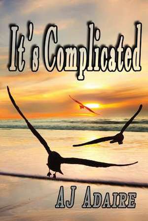 It's Complicated de Aj Adaire