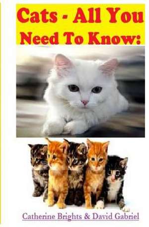 Cats - All You Need to Know de Catherine Brights