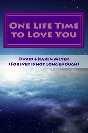 One Life Time to Love You de David Meyer