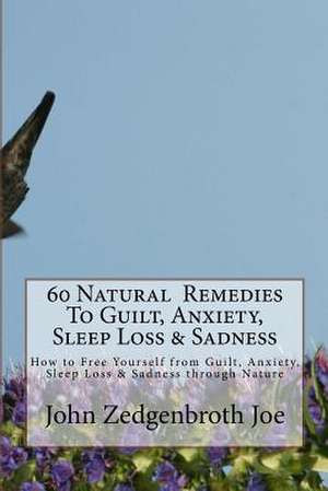 60 Natural Remedies to Guilt, Anxiety, Sleep Loss & Sadness de MR John Zedgenbroth Joe