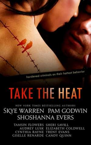 Take the Heat de Skye Warren