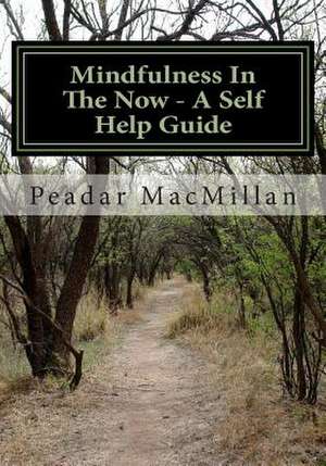 Mindfulness in the Now - A Self Help Guide de MR Peadar Patrick MacMillan MR