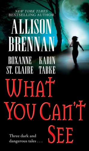 What You Can't See de Allison Brennan