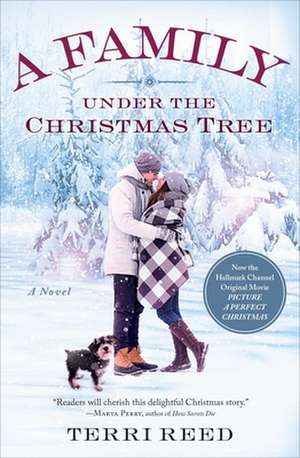 A Family Under the Christmas Tree de Terri Reed