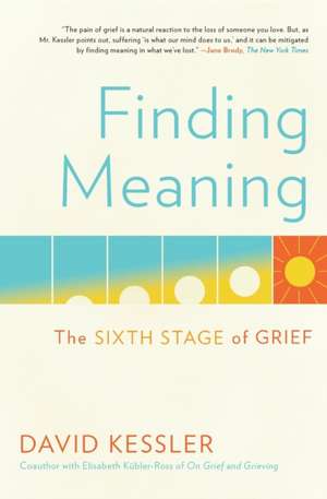 Finding Meaning de David Kessler