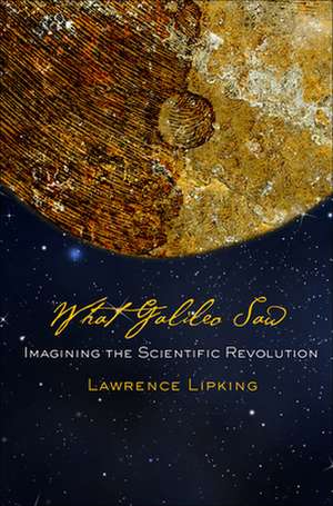 What Galileo Saw – Imagining the Scientific Revolution de Lawrence Lipking