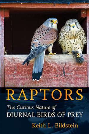 Raptors – The Curious Nature of Diurnal Birds of Prey de Keith L. Bildstein