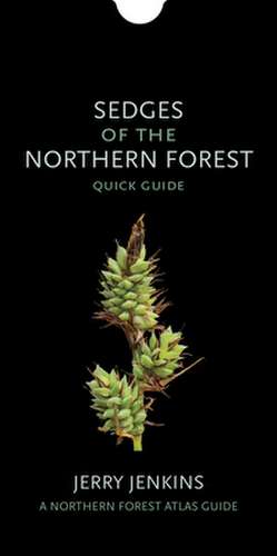 Sedges of the Northern Forest – Quick Guide de Jerry Jenkins