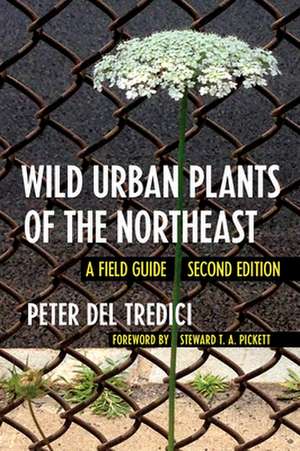 Wild Urban Plants of the Northeast – A Field Guide de Peter Del Tredici