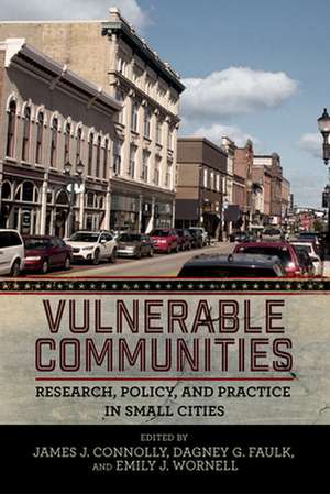 Vulnerable Communities – Research, Policy, and Practice in Small Cities de James J. Connolly