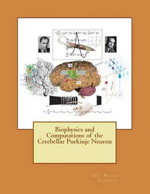 Biophysics and Computations of the Cerebellar Purkinje Neuron de Dr Michael D. Forrest