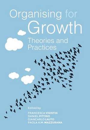 Organising for Growth de Francesca Visintin