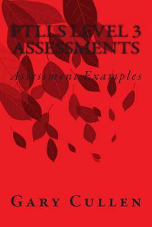 Ptlls Level 3 Assessments de Gary Cullen