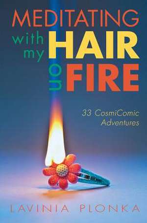 Meditating with My Hair on Fire de Lavinia Plonka