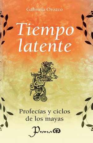 Tiempo Latente de Gabriela Orozco