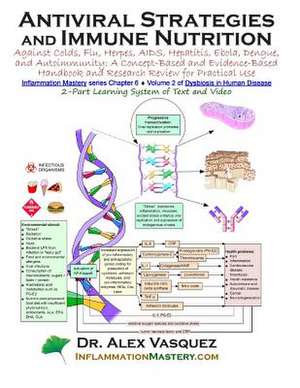 Antiviral Strategies and Immune Nutrition de Vasquez, Alex