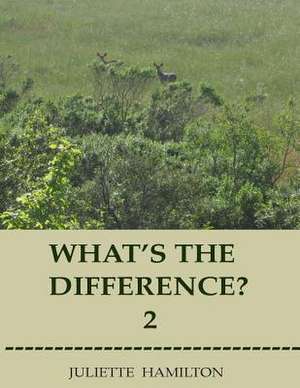 What's the Difference? 2 de Juliette Hamilton