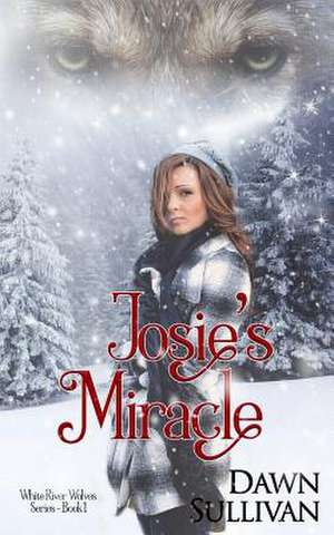 Josie's Miracle de Dawn Sullivan