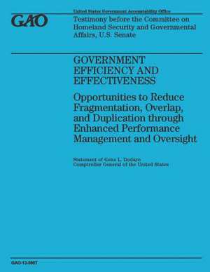 Government Efficiency and Effectiveness de Government Accountability Office (U S )