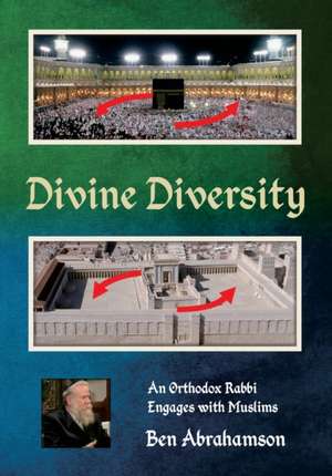 Divine Diversity de Ben Abrahamson